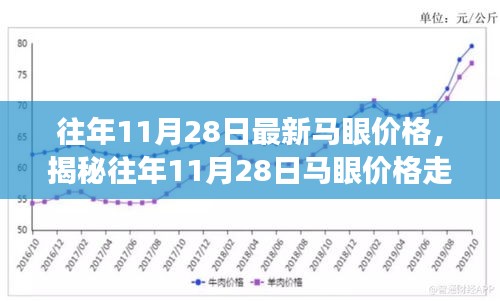 最新马眼价格动态及市场分析