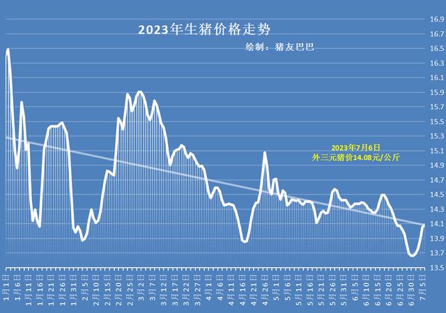 生猪市场最新价格动态分析