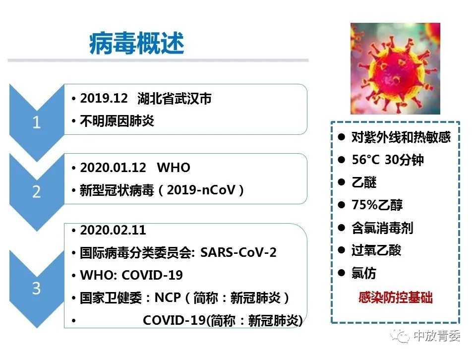 最新疫情症状报告，深入理解与应对新冠病毒新症状