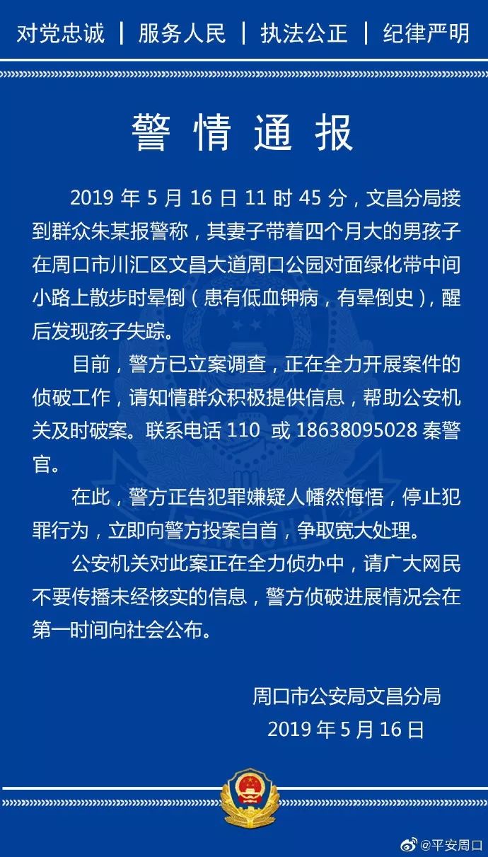 失踪女子最新报道，案件进展、疑点分析及社会反响